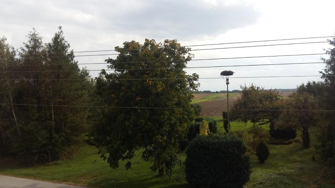Villa Agroturstyka U Witka Brynica Mokra Esterno foto